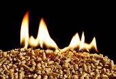 Wood pellets on fire