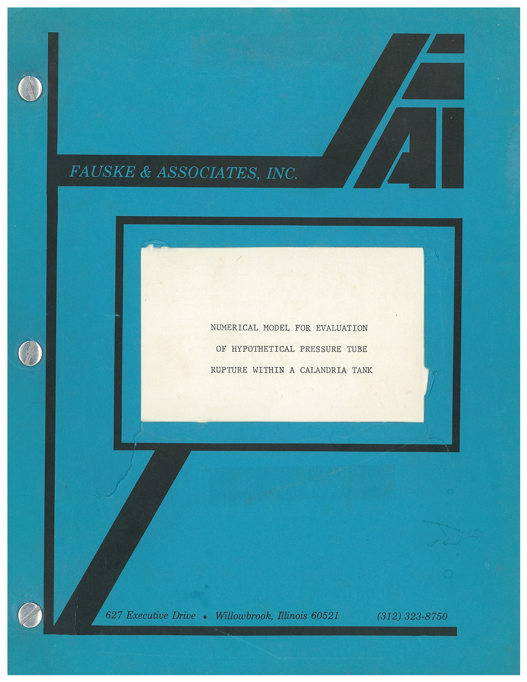 1981 report cover