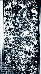  Figure 1 Image of Bubbly Flow in a Vertical Air-Water Test Section  - Courtesy of Dr. B. Doup and Dr. X. Sun (The Ohio State University)