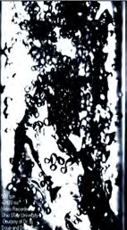 Figure 2 Image of Churn-turbulent Flow in a Vertical Air-Water Test Section - Courtesy of Dr. B. Doup and Dr. X. Sun (The Ohio State University