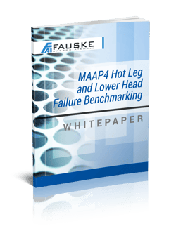MAAP4 White Paper