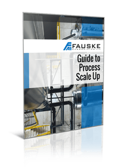 FAI Guide to Process Scale Up