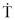 Picture19