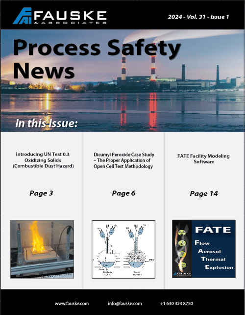 Process Safety News 2024 Vol 31 Issue 1